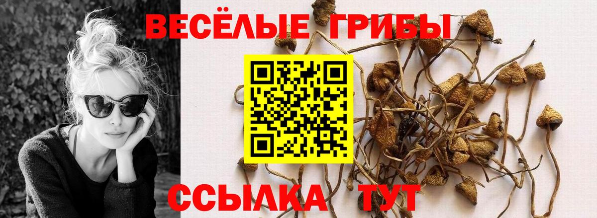 цены наркотик  Псилоцибиновые грибы Cubensis  Вход с VPN  Новокубанск 