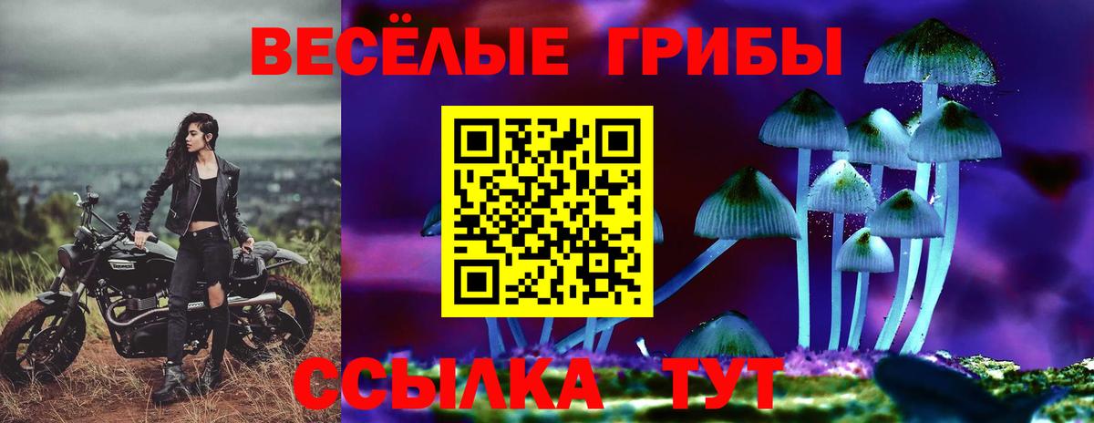 Псилоцибиновые грибы Magic Shrooms Новокубанск